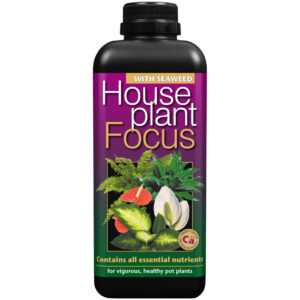 Growth Technology Houseplant Focus 1 l